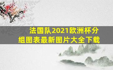 法国队2021欧洲杯分组图表最新图片大全下载