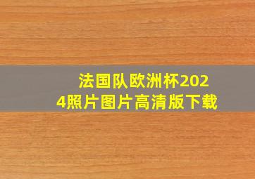 法国队欧洲杯2024照片图片高清版下载