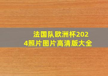 法国队欧洲杯2024照片图片高清版大全