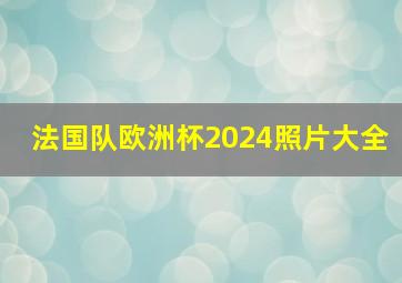 法国队欧洲杯2024照片大全