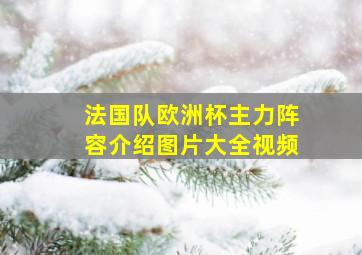 法国队欧洲杯主力阵容介绍图片大全视频