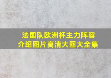 法国队欧洲杯主力阵容介绍图片高清大图大全集