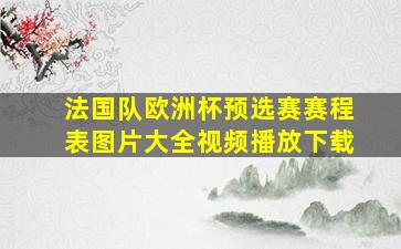 法国队欧洲杯预选赛赛程表图片大全视频播放下载