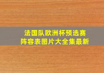 法国队欧洲杯预选赛阵容表图片大全集最新