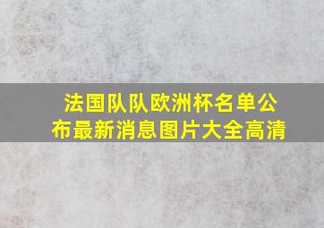 法国队队欧洲杯名单公布最新消息图片大全高清