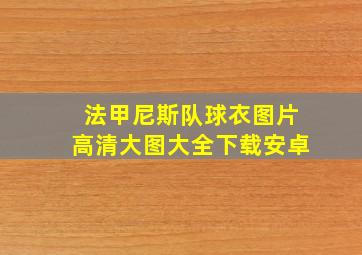 法甲尼斯队球衣图片高清大图大全下载安卓