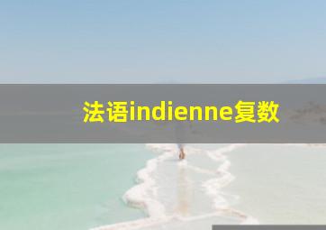 法语indienne复数