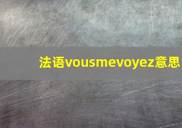 法语vousmevoyez意思