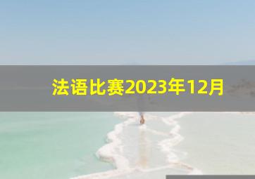 法语比赛2023年12月