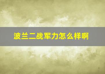 波兰二战军力怎么样啊