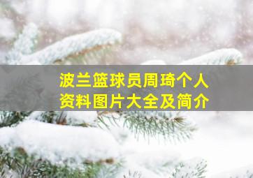 波兰篮球员周琦个人资料图片大全及简介