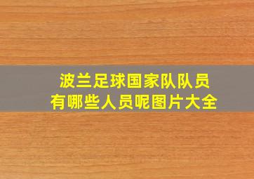 波兰足球国家队队员有哪些人员呢图片大全