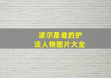 波尔是谁的护法人物图片大全