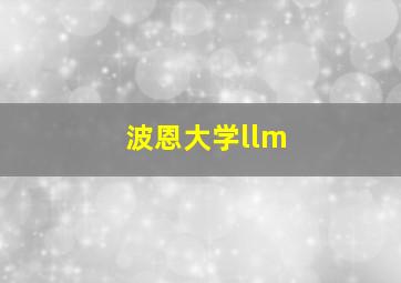 波恩大学llm