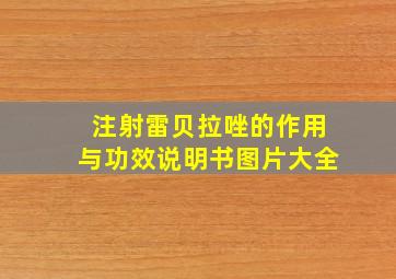 注射雷贝拉唑的作用与功效说明书图片大全