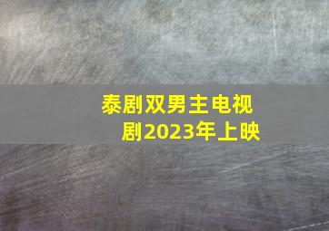 泰剧双男主电视剧2023年上映