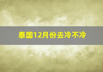 泰国12月份去冷不冷