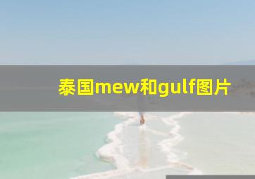 泰国mew和gulf图片