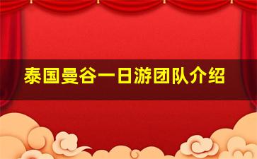 泰国曼谷一日游团队介绍