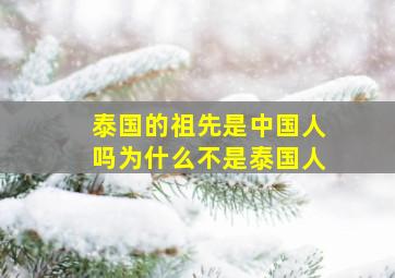 泰国的祖先是中国人吗为什么不是泰国人