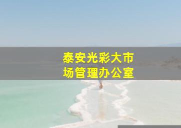 泰安光彩大市场管理办公室