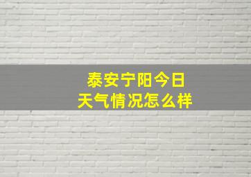 泰安宁阳今日天气情况怎么样