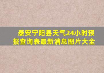 泰安宁阳县天气24小时预报查询表最新消息图片大全