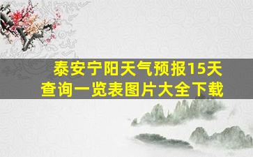 泰安宁阳天气预报15天查询一览表图片大全下载