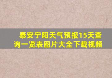 泰安宁阳天气预报15天查询一览表图片大全下载视频