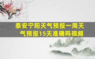 泰安宁阳天气预报一周天气预报15天准确吗视频