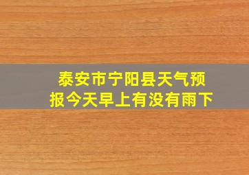 泰安市宁阳县天气预报今天早上有没有雨下