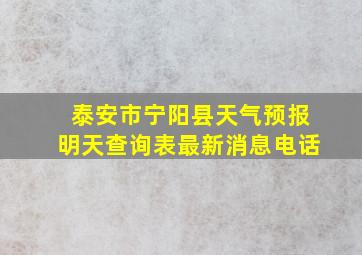 泰安市宁阳县天气预报明天查询表最新消息电话