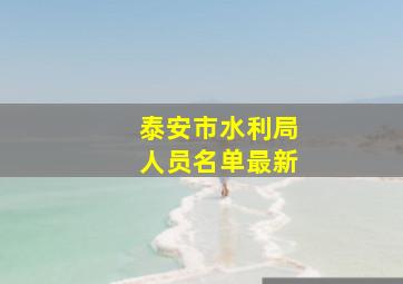 泰安市水利局人员名单最新