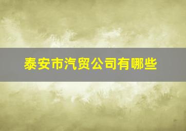 泰安市汽贸公司有哪些