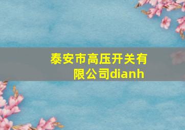 泰安市高压开关有限公司dianh