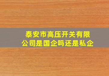 泰安市高压开关有限公司是国企吗还是私企