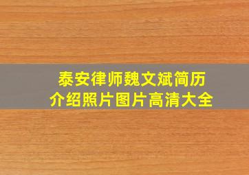 泰安律师魏文斌简历介绍照片图片高清大全