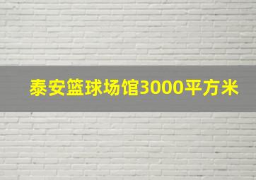 泰安篮球场馆3000平方米