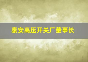 泰安高压开关厂董事长