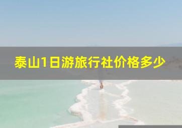 泰山1日游旅行社价格多少