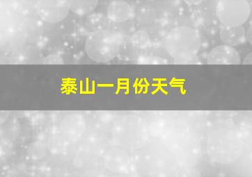 泰山一月份天气