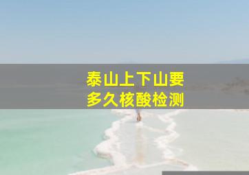 泰山上下山要多久核酸检测