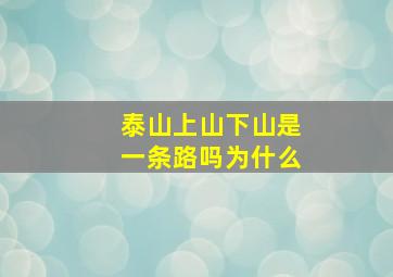 泰山上山下山是一条路吗为什么