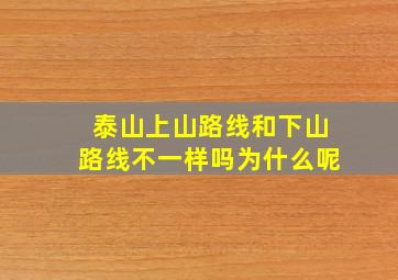 泰山上山路线和下山路线不一样吗为什么呢