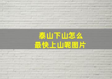 泰山下山怎么最快上山呢图片