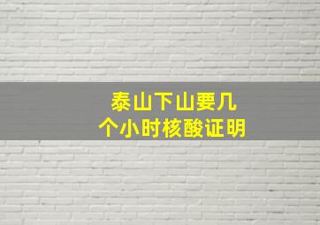 泰山下山要几个小时核酸证明