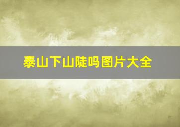 泰山下山陡吗图片大全