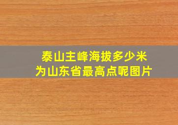 泰山主峰海拔多少米为山东省最高点呢图片