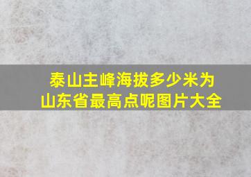 泰山主峰海拔多少米为山东省最高点呢图片大全