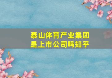 泰山体育产业集团是上市公司吗知乎